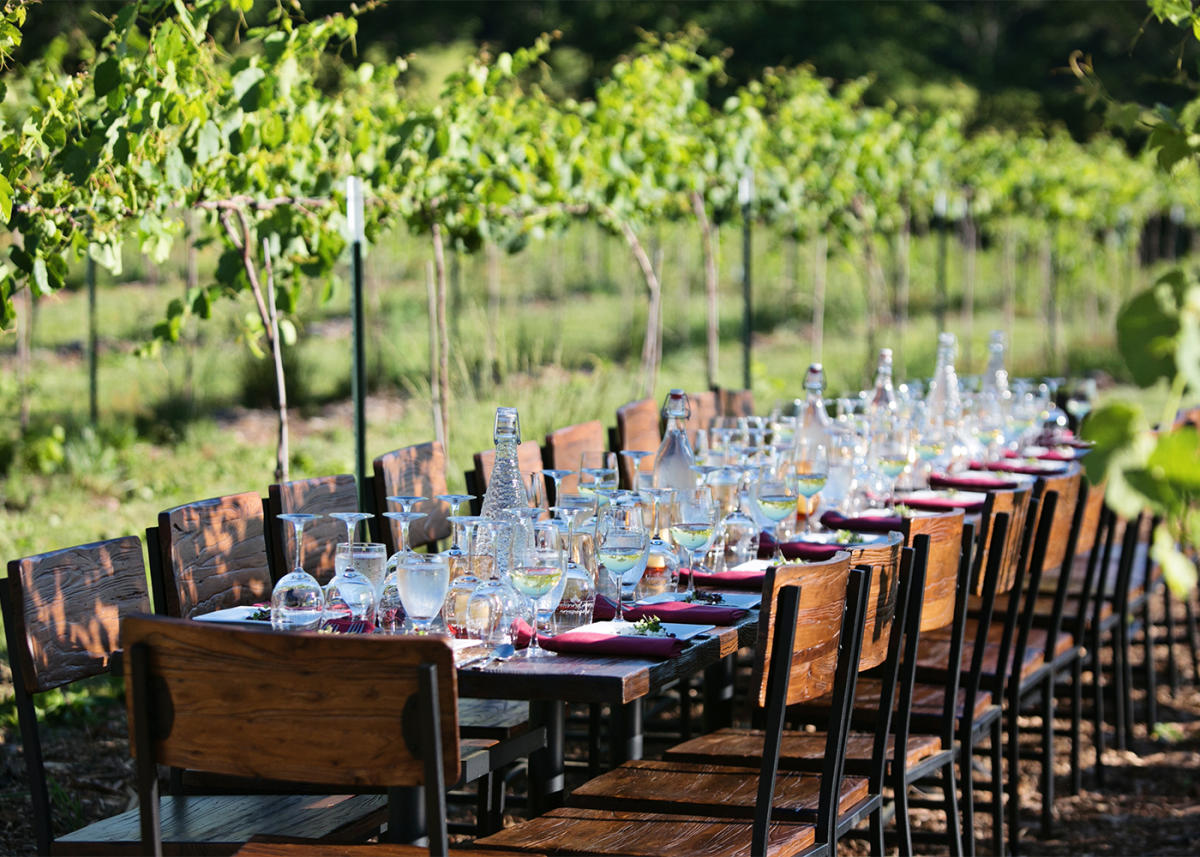 Mountain View Vineyard Winery & Brewery Stroudsburg, PA 18360