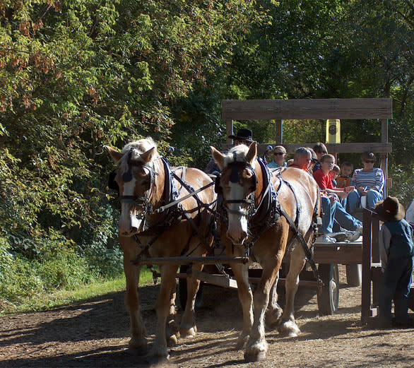 Buckley Homestead County Park A Living History Farm