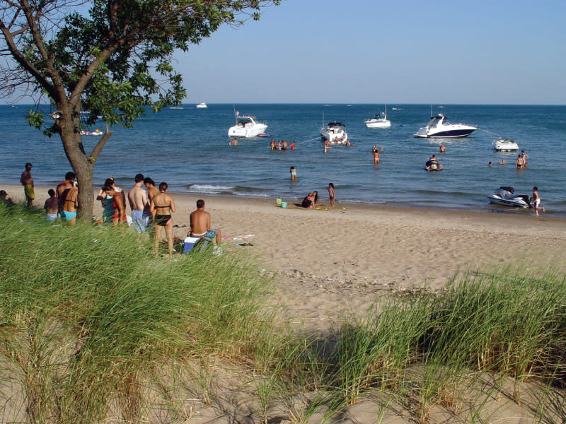 Whihala Beach Whiting In 46394