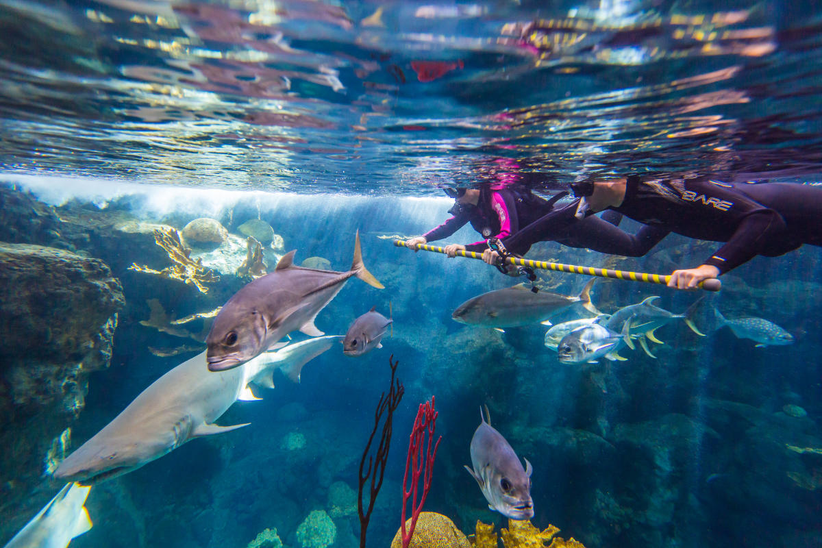 Florida Aquarium