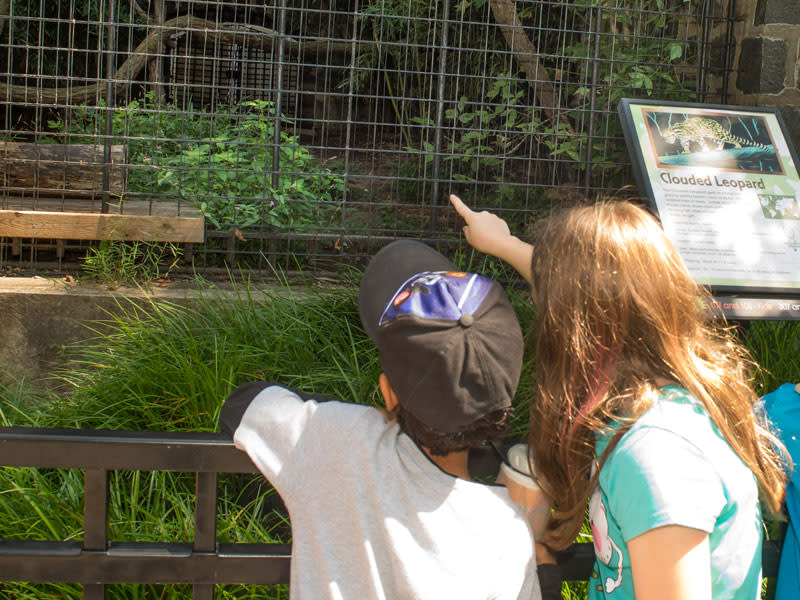 Brandywine Zoo Wilmington, DE 19802