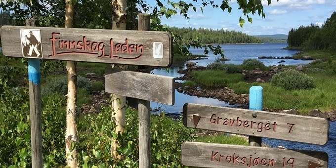 The Finnskog Trail