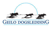 logo Geilo dog