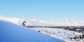 Fjellheisen
