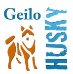 Geilo Husky logo