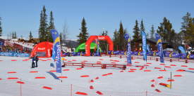 Liatoppen-Skiskyting-Ål