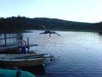 Villmarkscamp