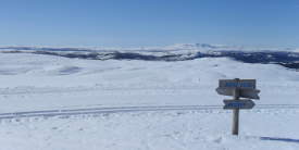 Langrenn-Veståsen-Vinter-Ål