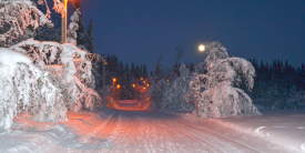 Liatoppen-Vinter-Ål