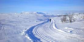 Sangfjell-Ål-Ski