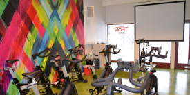 Thon Active