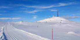 Sangenuten-Ål-Vinter