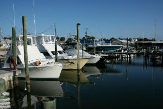 Daytona Beach Boating And Sailing Adventure Yacht Harbor Inc