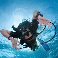 Daytona Beach Scuba And Snorkeling Adventures Scuba Lessons Inc