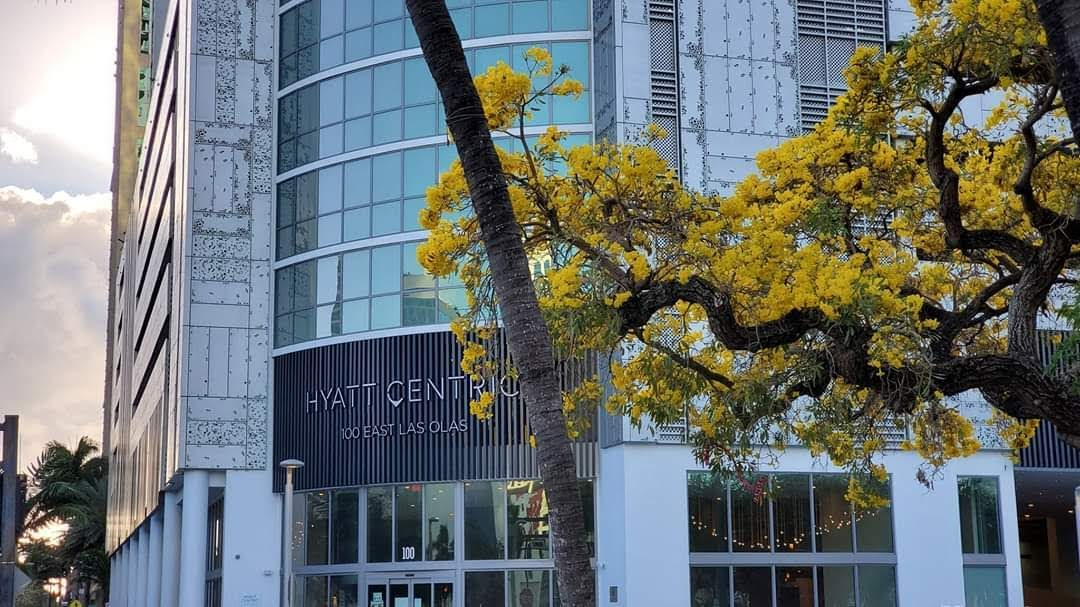 Hyatt Centric Las Olas Fort Lauderdale Fort Lauderdale