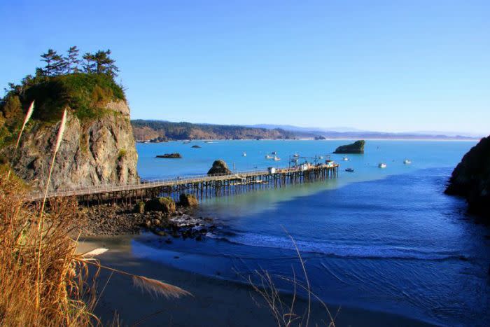 Trinidad State Beach