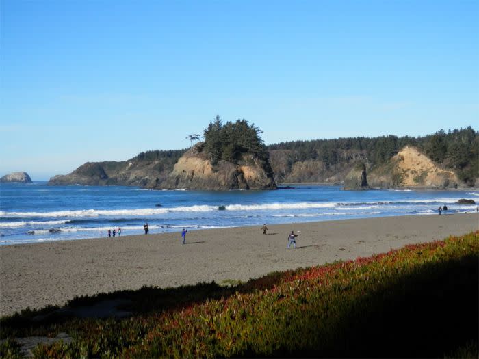 Trinidad State Beach
