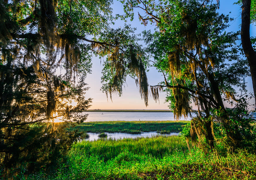 Gascoigne St Simons Island