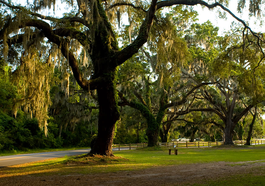 Gascoigne Bluff St. Simons Island, GA 31522