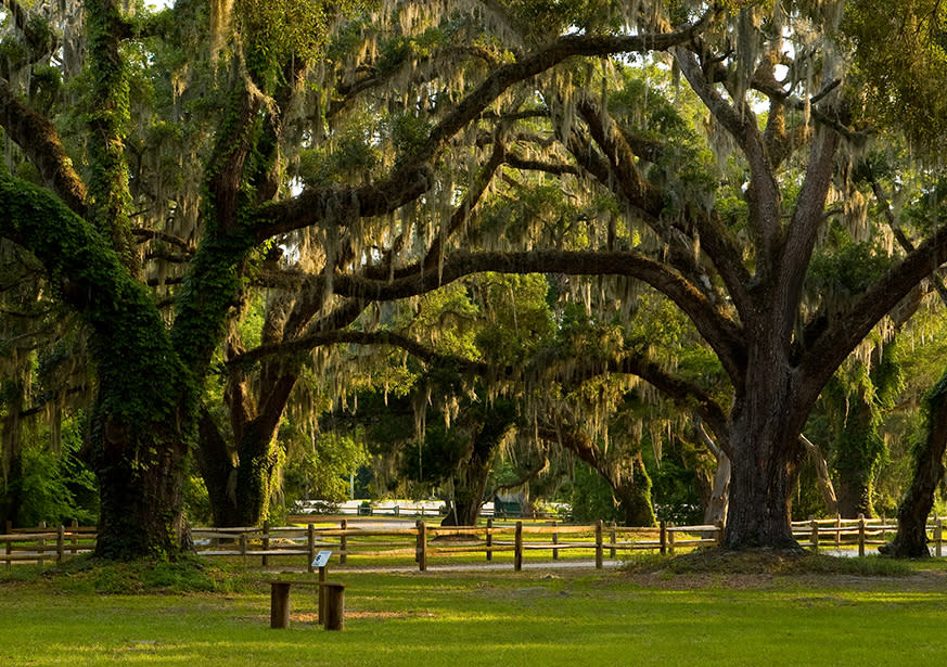 Gascoigne Bluff St. Simons Island, GA 31522