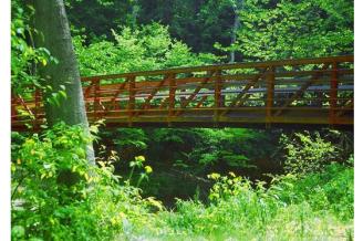 Grand Rapids Parks City State Parks In Michigan