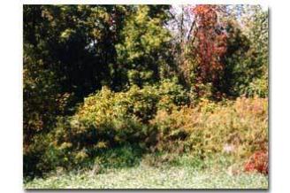 Grand Rapids Parks City State Parks In Michigan