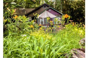 Pocono Mountains Pet Friendly Hotels Visit Website