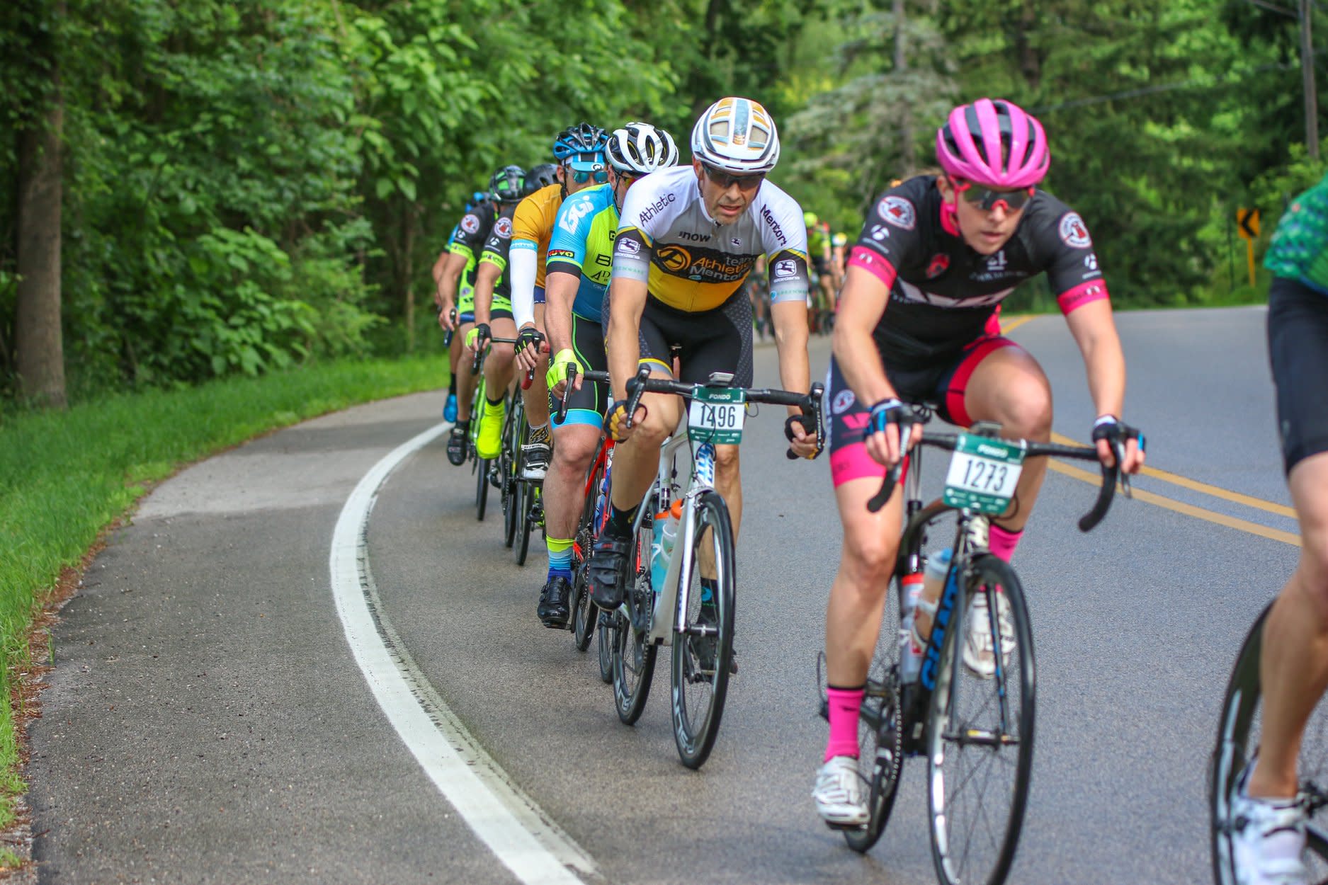 msu gran fondo