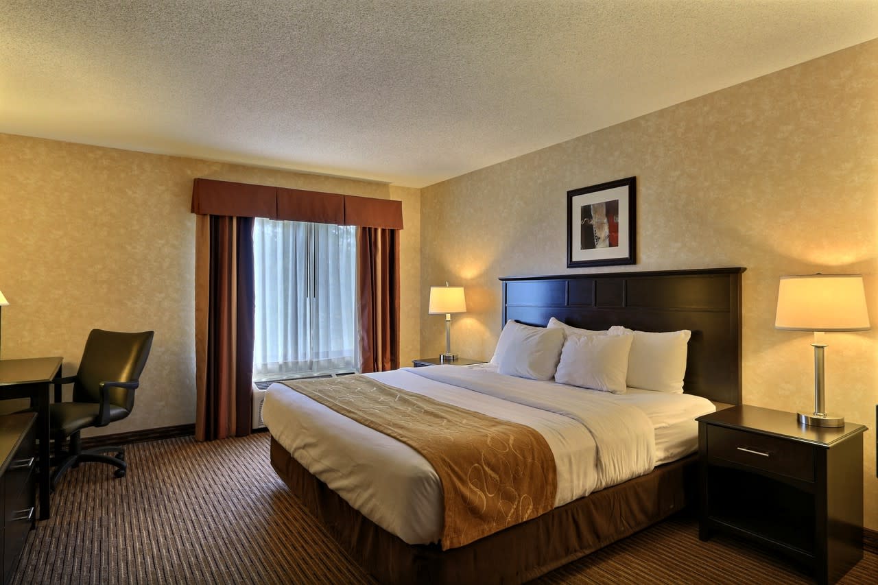 Comfort Suites Grand Rapids North Accommodations In Comstock