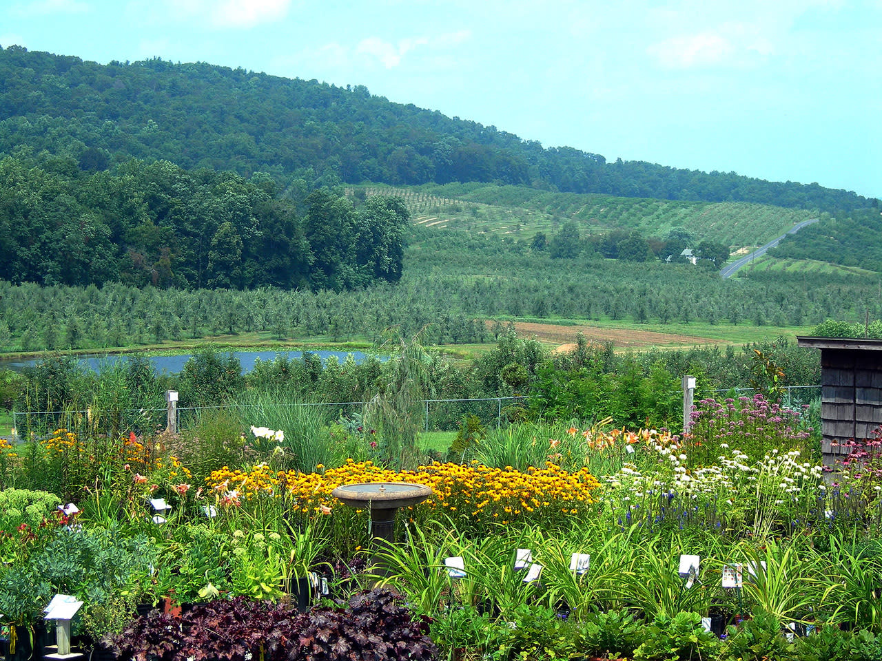 Boyer Nurseries Orchards Inc Boyer Nurseries
