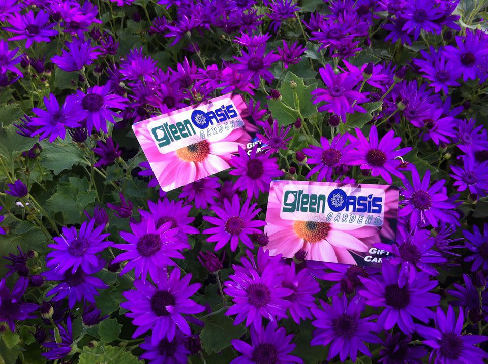 Green Oasis Gardens Eau Claire Wi Green Oasis Gardens