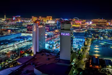Palms