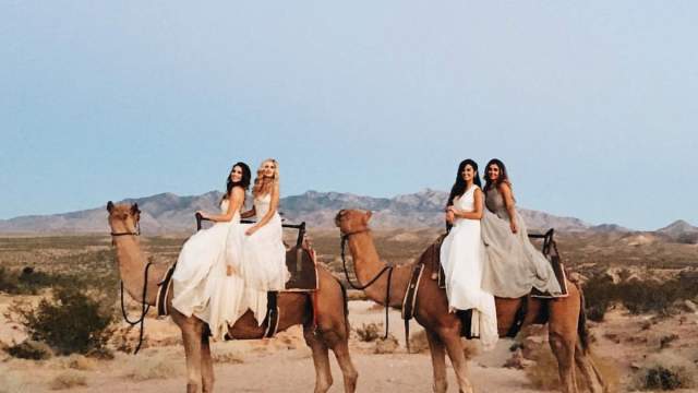 Camel Safari Wedding
