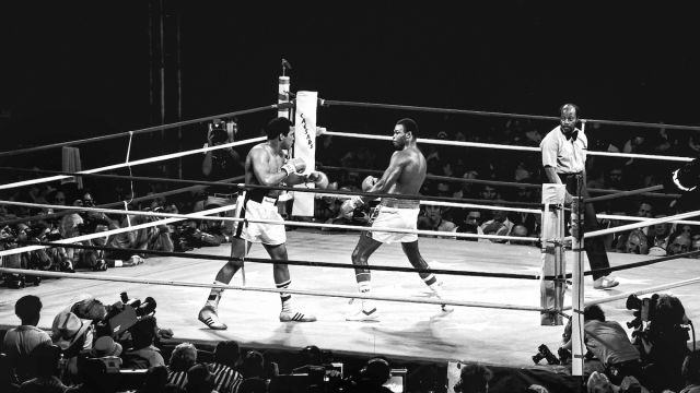 An image of two boxers getting ready to fight in the ring
