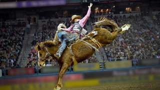 A cowboy on a horse during a rodeo.