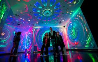 People viewing Juke Temple inside of Meow Wolf