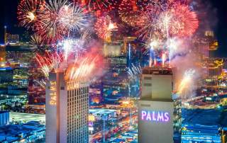 Palms fireworks