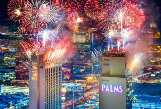 Palms fireworks