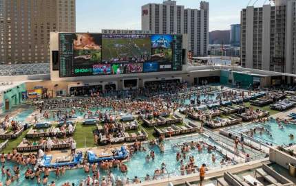 Stadium Swim