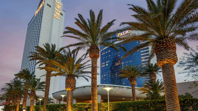 Row of palm trees below Palms Casino Resort