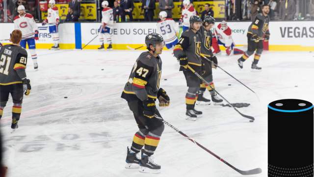 hockey game