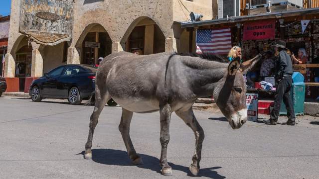Oatman