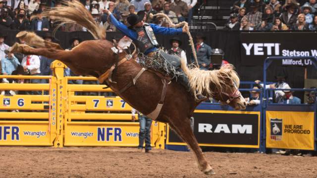 A man rides a bucking horse.