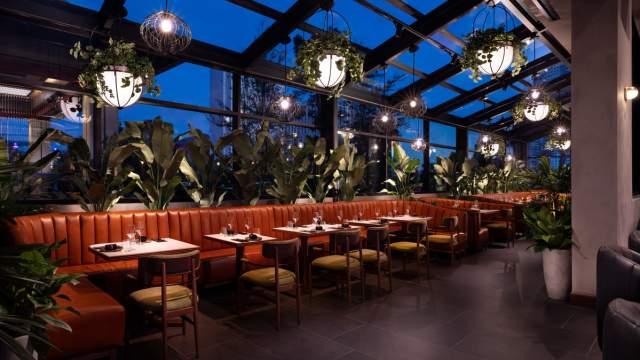 Stubborn Seed Las Vegas Patio