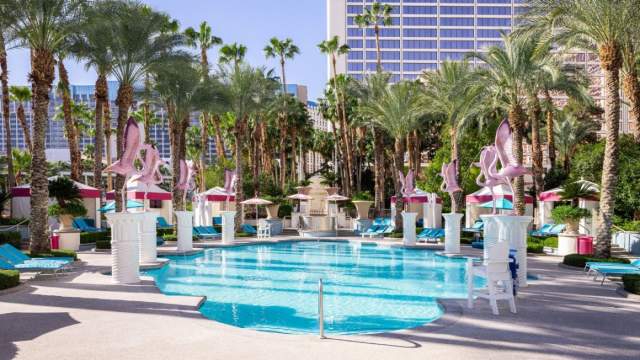 Flamingo Go Pool