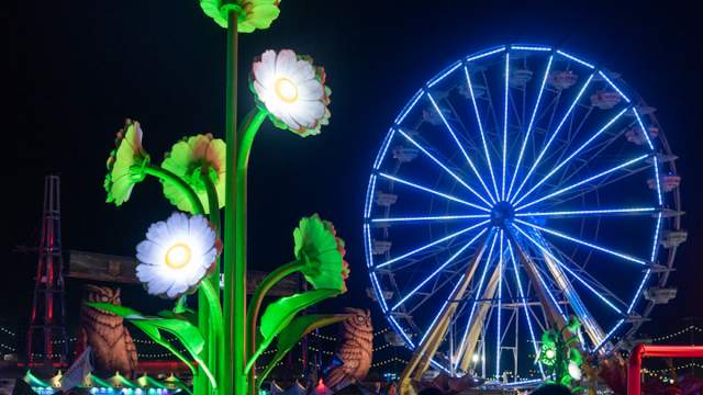 A group of people having a great time at EDC 2024 in Las Vegas, Nevada.