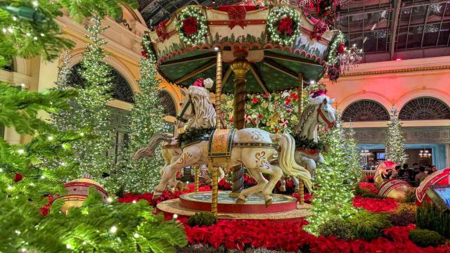 Bellagio Conservatory Display 2024