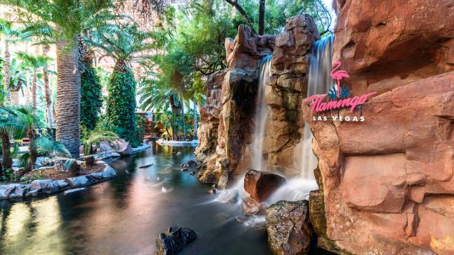 See the stunning habitat of the Flamingos at the Flamingo hotel in Las Vegas.