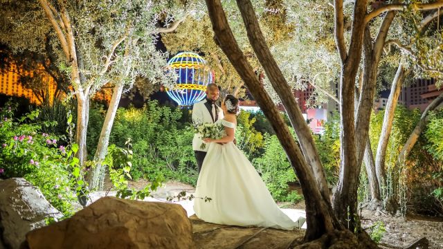 A beautiful couple getting married at Paris Las Vegas.