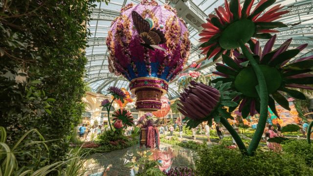 Bellagio Conservatory & Botanical Gardens